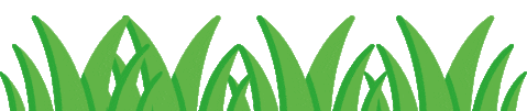 Grass